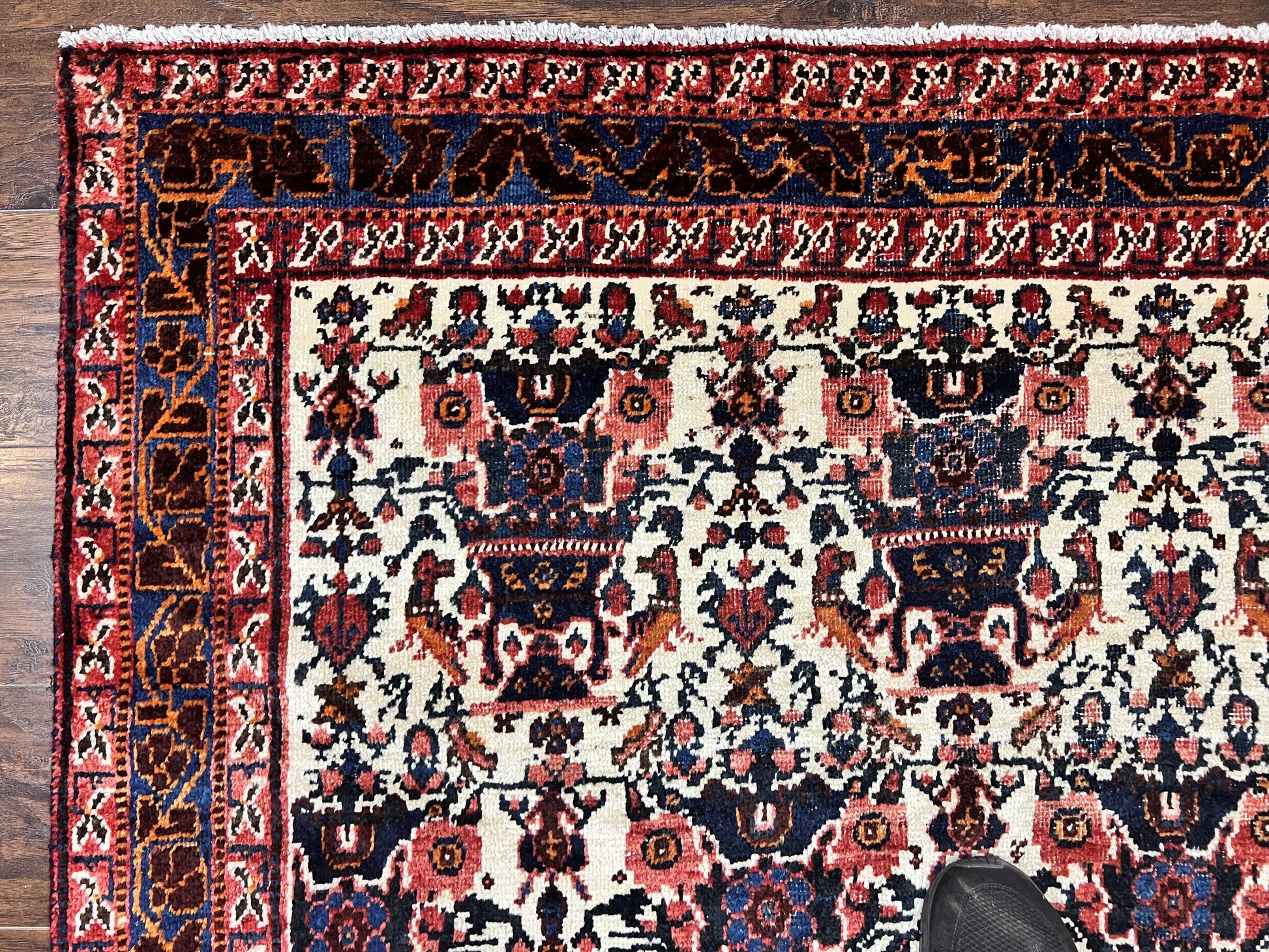 Persian Afshar Rug 6x8, Wool Hand Knotted Semi Antique Vintage Carpet, Floral Allover, Repeated Birds Flowers Vases Motifs - Nuvé
