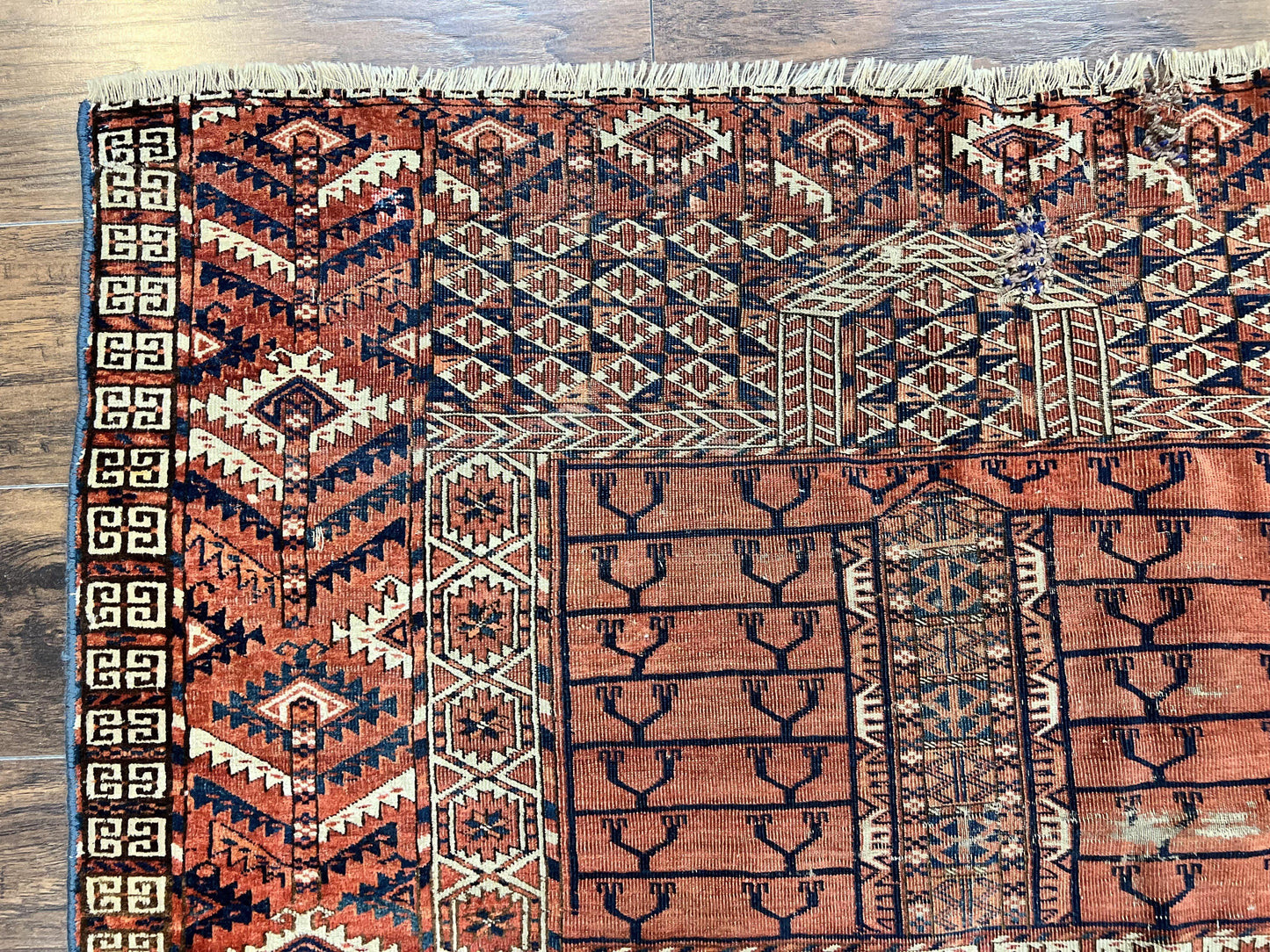 Antique Turkoman Rug 4x4, Hatchli Square Carpet, Wool Handmade Four Season Yamud Design Rug, Red Bohemian Tribal Rug, Engsi Tekkeh Rug - Nuvé