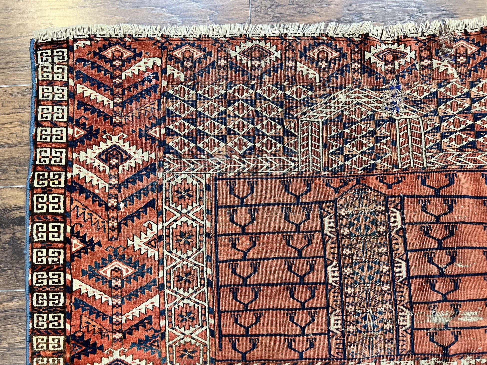 Antique Turkoman Rug 4x4, Hatchli Square Carpet, Wool Handmade Four Season Yamud Design Rug, Red Bohemian Tribal Rug, Engsi Tekkeh Rug - Nuvé