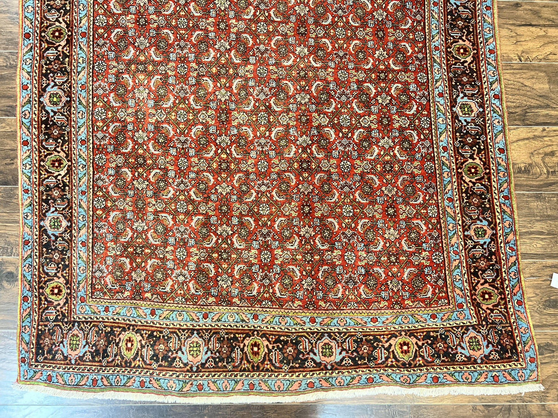 Antique Persian Bidjar Rug 5x7, Repeated Allover Herati Pattern, Red, Handmade Wool Carpet - Nuvé