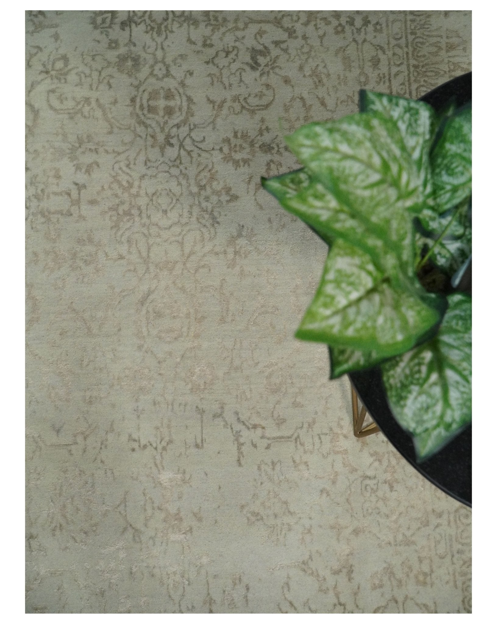 5x7 Fine Hand Knotted Beige and Brown Traditional Vintage Persian Style Antique Wool and Silk Rug | AGR50 - Nuvé