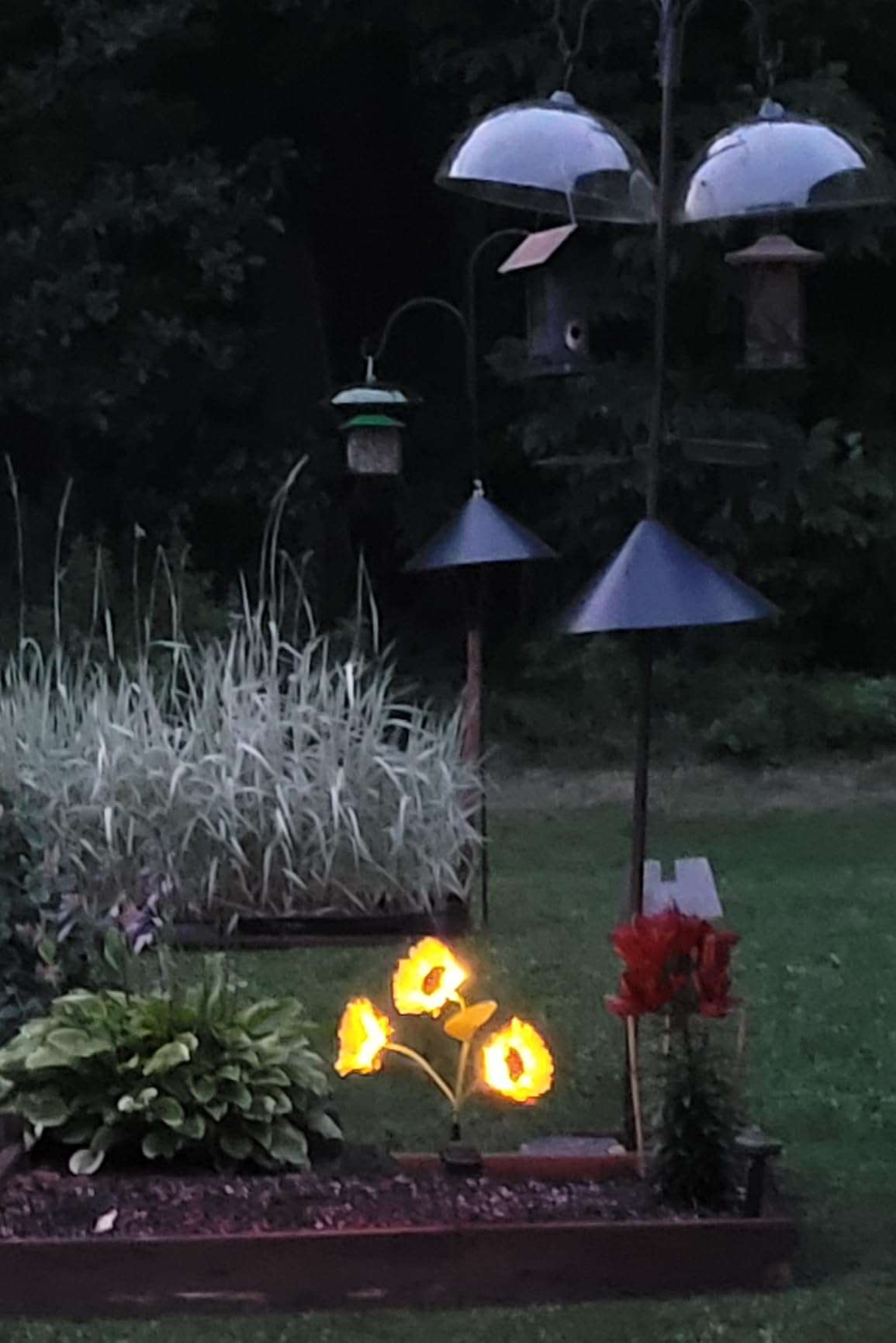 files/61McDcHjfFL.jpg