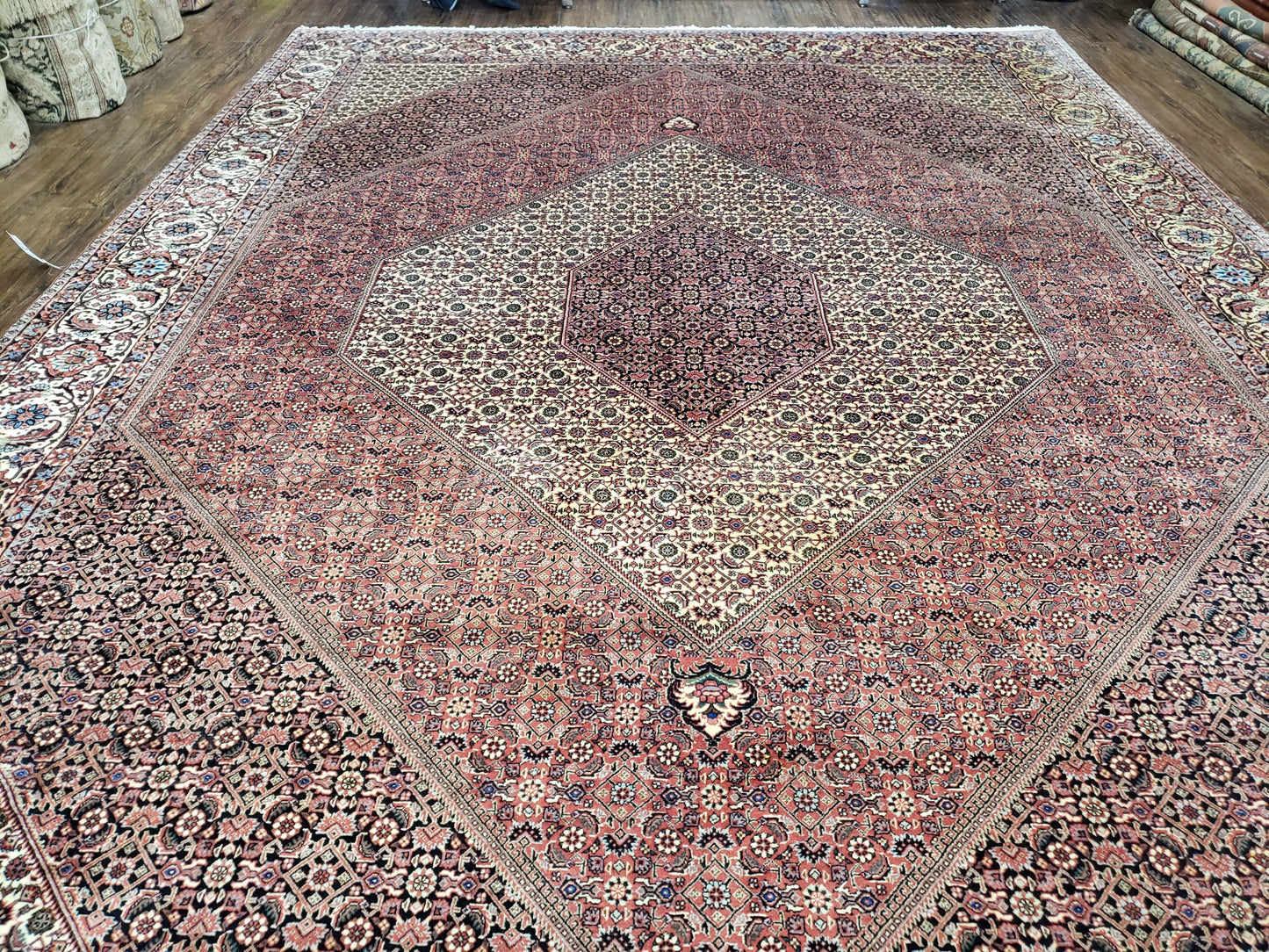 Persian Bijar Rug 8x11 - Herati Mahi Pattern - Nuvé