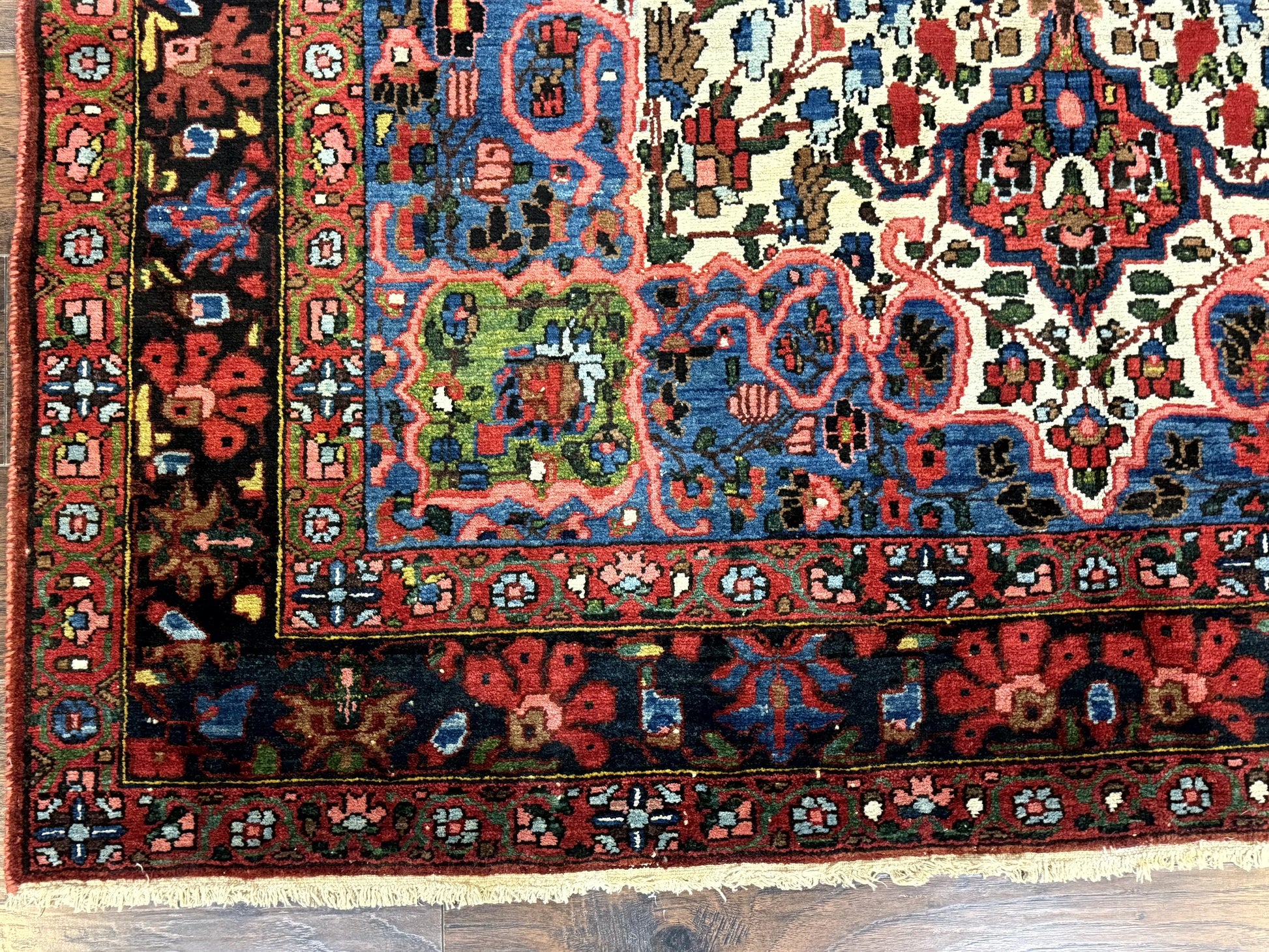 Persian Bakhtiari Rug 7x10, Antique Persian Carpet, Colorful, Great Colors, Ivory Red Blue, Rare Tribal Rug - Nuvé
