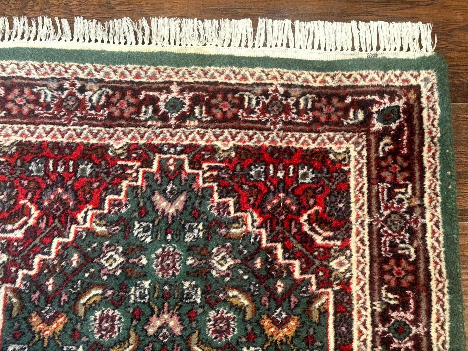 Green Indo Persian Bidjar Runner Rug 3x10, Green and Red - Nuvé