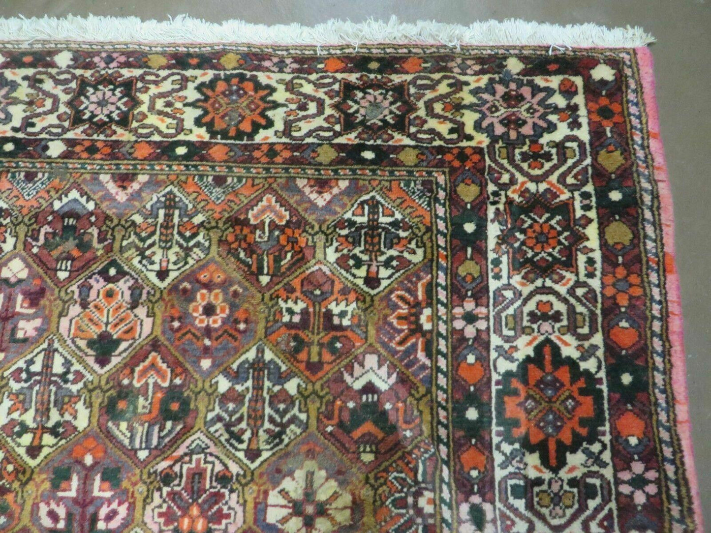 Antique Persian Bakhtiari Rug 7x10 - Multicolor Repeated Panel Design - Vegetable Dyed Rug - Hand Knotted Wool Room Sized Oriental Carpet 7 x 10 Rug - Nuvé