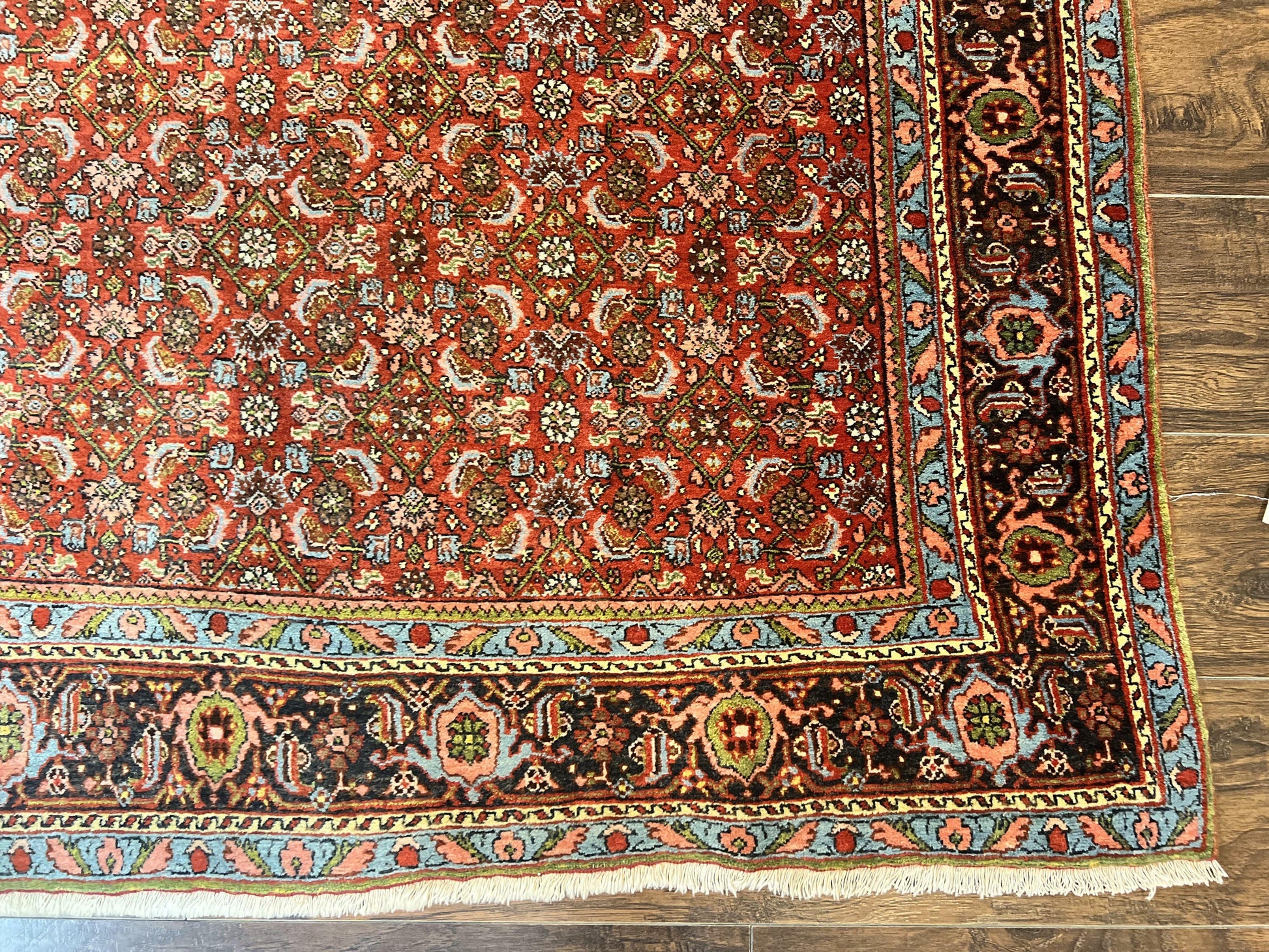 Antique Persian Bidjar Rug 5x7, Repeated Allover Herati Pattern, Red, Handmade Wool Carpet - Nuvé
