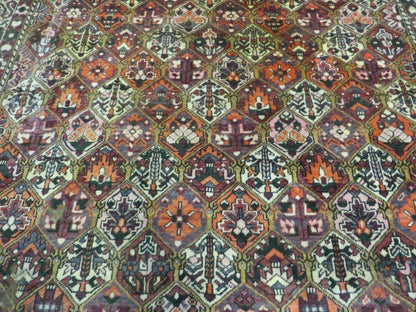 Antique Persian Bakhtiari Rug 7x10 - Multicolor Repeated Panel Design - Vegetable Dyed Rug - Hand Knotted Wool Room Sized Oriental Carpet 7 x 10 Rug - Nuvé