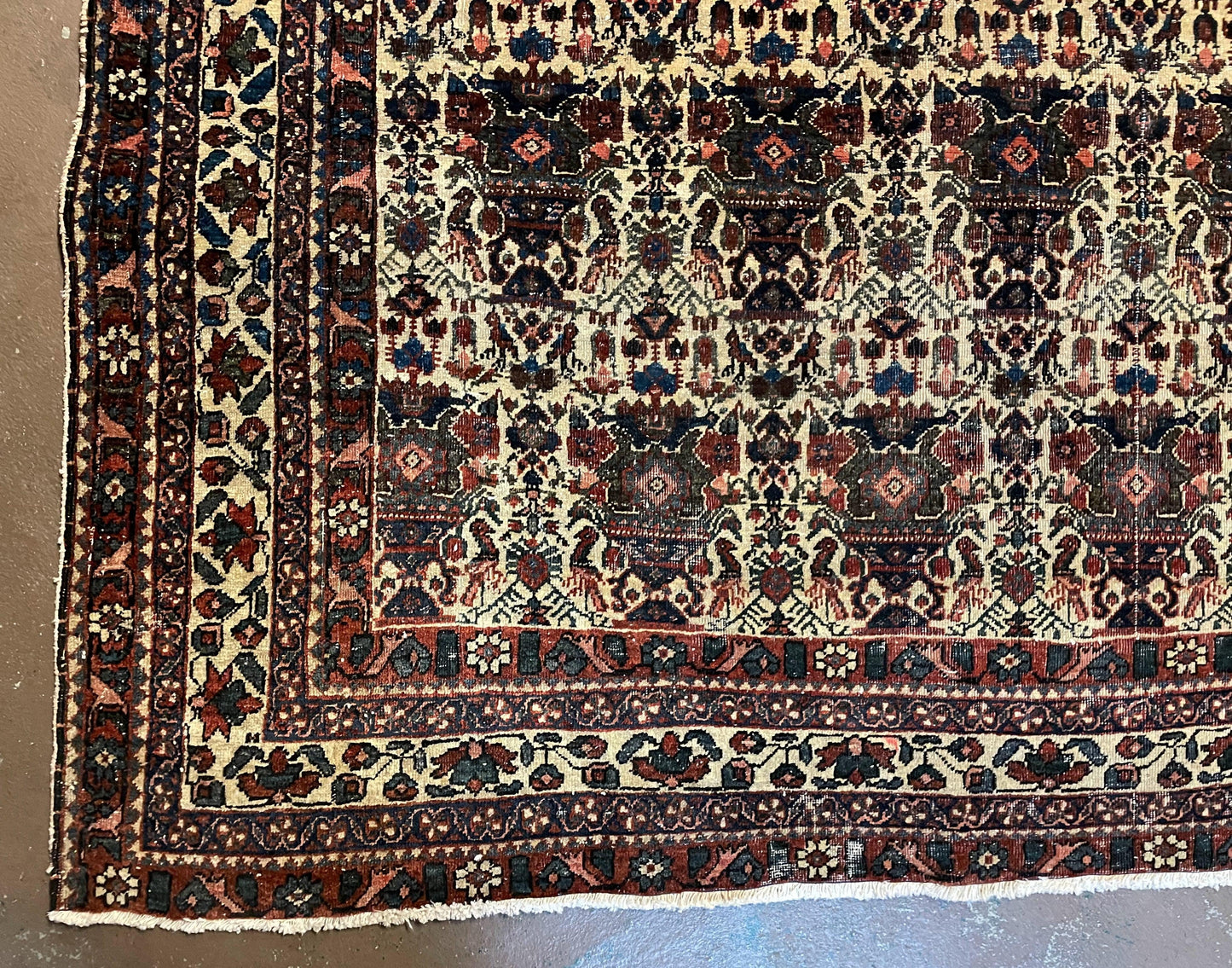 Antique Persian Afshar Rug 5x7, Wool Hand Knotted Oriental Carpet 5 x 7 ft, Repeated Motif Allover, Cream and Maroon, Tribal Rug, Medium Sized Rug,  Zil-i-Sultan Design - Nuvé