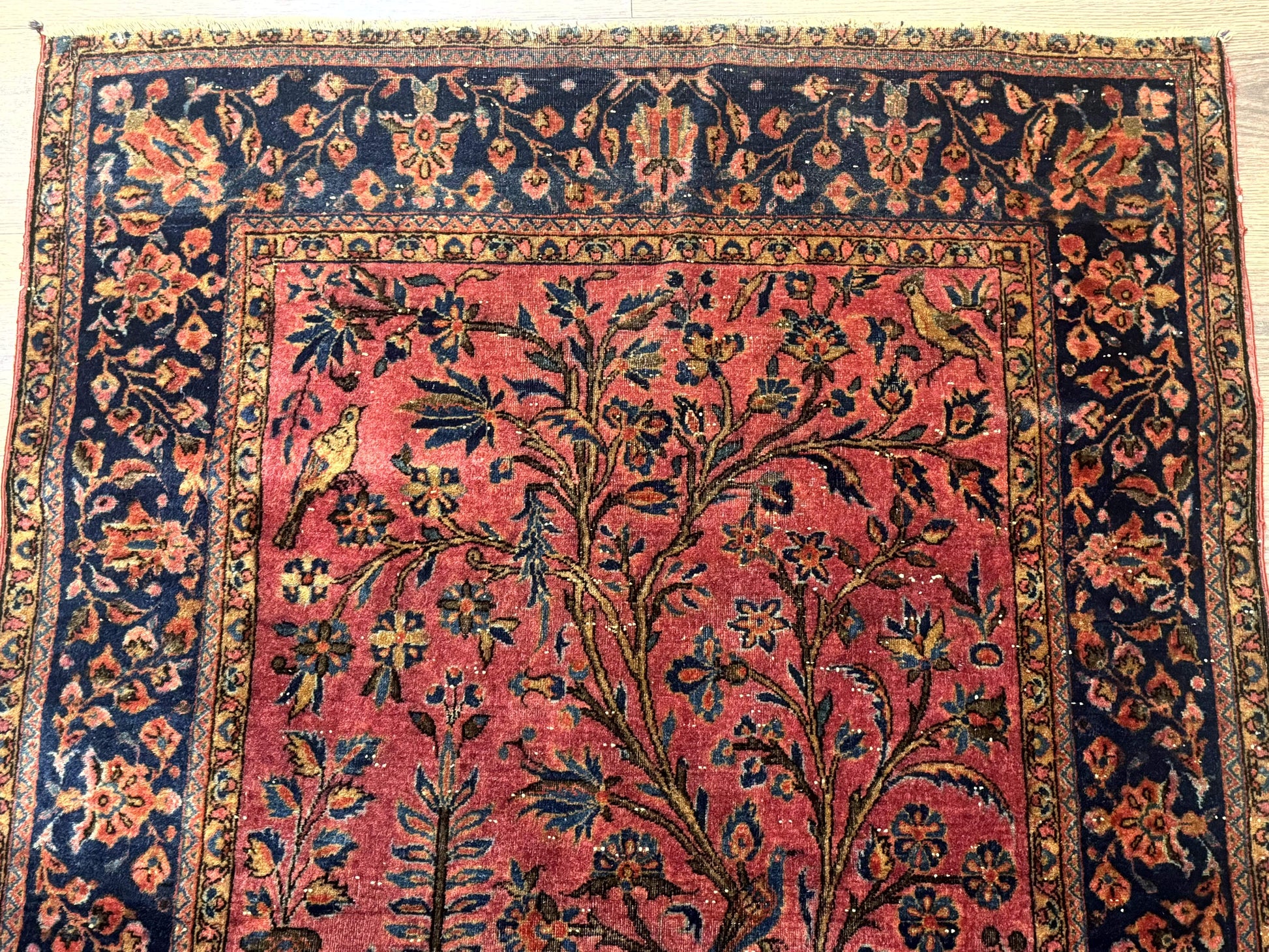 Antique Persian Tree of Life Rug 3x5, Manchester Wool, Bird Pictorials, Fine 240 KPSI, Red Navy Blue - Nuvé