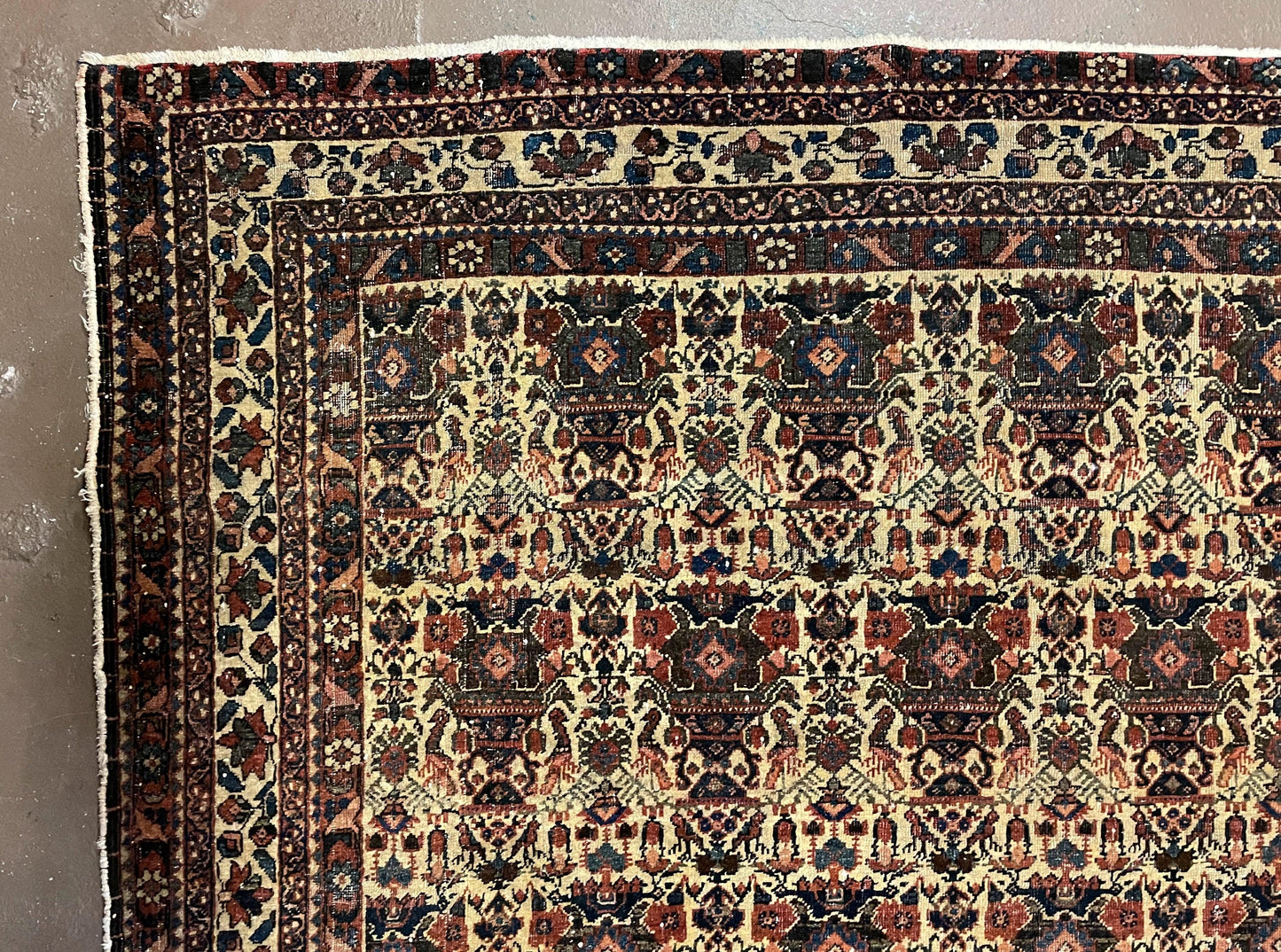 Antique Persian Afshar Rug 5x7, Wool Hand Knotted Oriental Carpet 5 x 7 ft, Repeated Motif Allover, Cream and Maroon, Tribal Rug, Medium Sized Rug,  Zil-i-Sultan Design - Nuvé