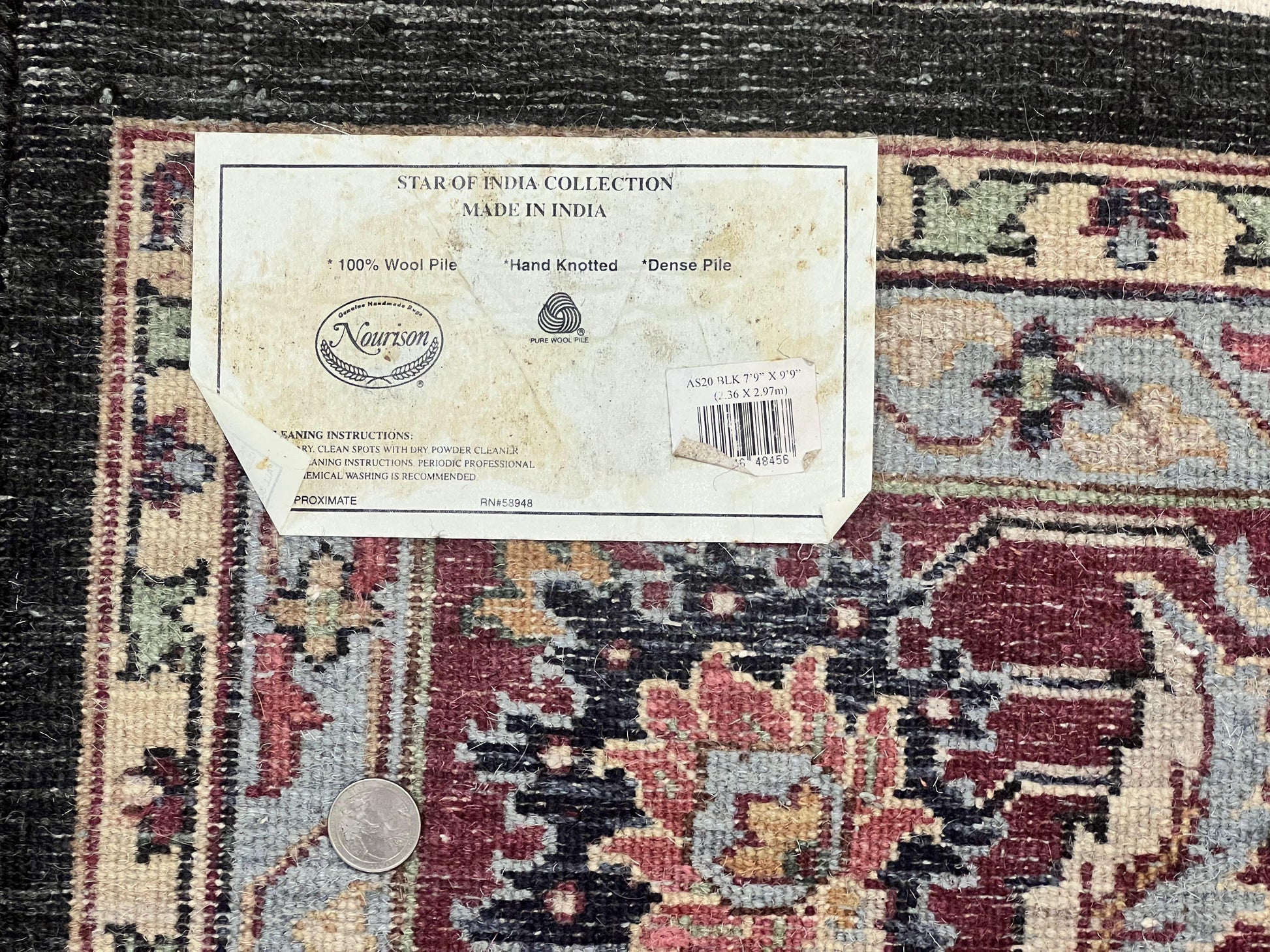 Indo Persian Rug 8x10, Nourison Carpet, Floral, Hand Knotted Vintage Wool Rug - Nuvé
