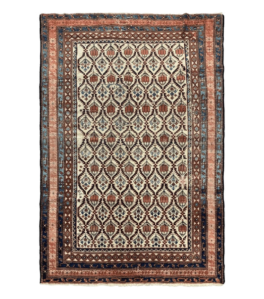 Antique Caucasian Rug 4x6, Hand Knotted Wool Carpet, Shirvan Rug