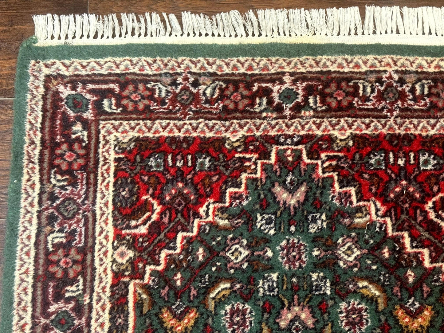 Green Indo Persian Bidjar Runner Rug 3x10, Green and Red - Nuvé