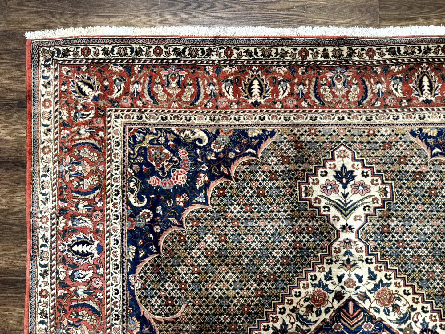 Persian Rug 7x10, Bakhtiari Saman Rug, Unique Design and Colors, Ivory Red Blue, Large Tribal Rug - Nuvé