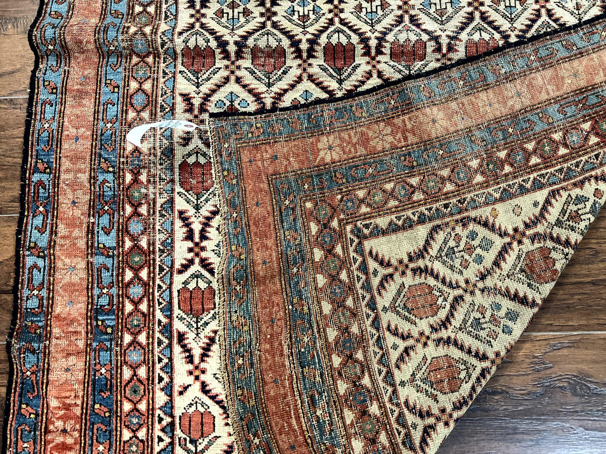 Antique Caucasian Rug 4x6, Hand Knotted Wool Carpet, Shirvan Rug
