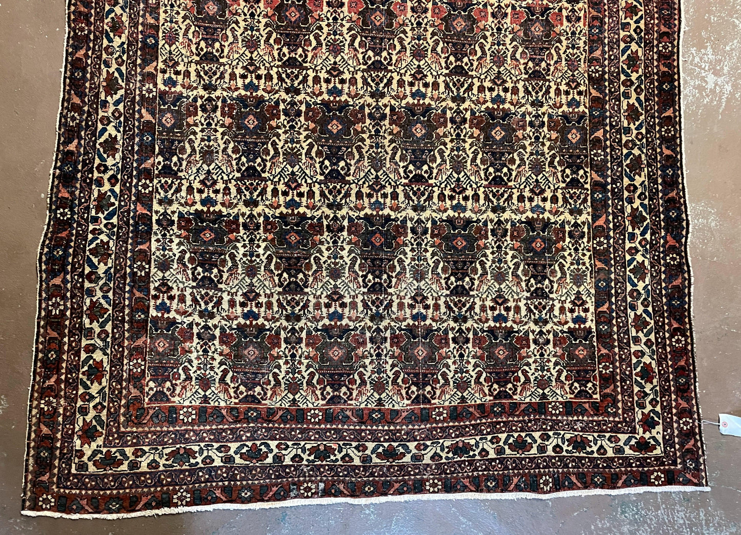 Antique Persian Afshar Rug 5x7, Wool Hand Knotted Oriental Carpet 5 x 7 ft, Repeated Motif Allover, Cream and Maroon, Tribal Rug, Medium Sized Rug,  Zil-i-Sultan Design - Nuvé