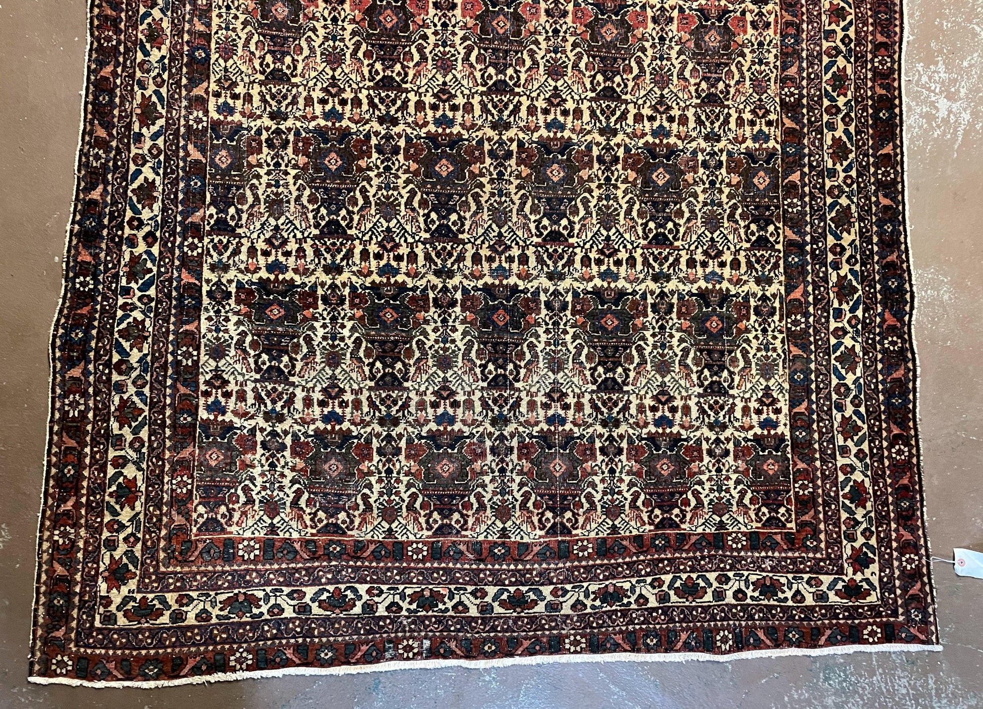 Antique Persian Afshar Rug 5x7, Wool Hand Knotted Oriental Carpet 5 x 7 ft, Repeated Motif Allover, Cream and Maroon, Tribal Rug, Medium Sized Rug,  Zil-i-Sultan Design - Nuvé