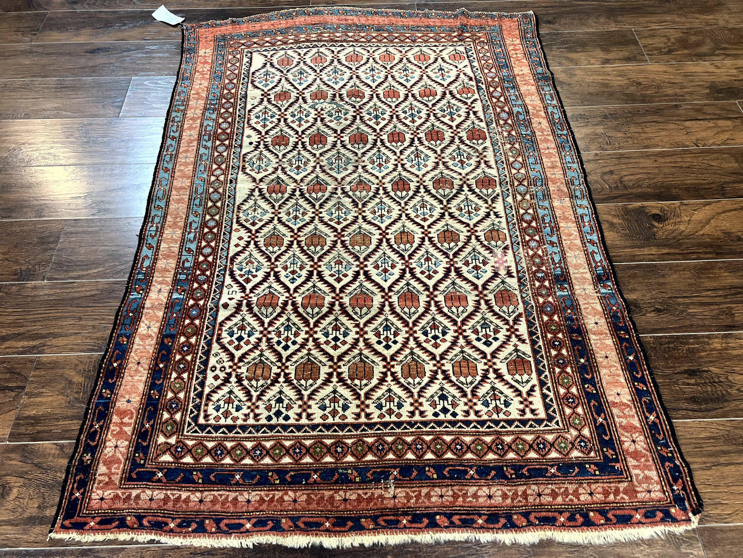Antique Caucasian Rug 4x6, Hand Knotted Wool Carpet, Shirvan Rug - Nuvé