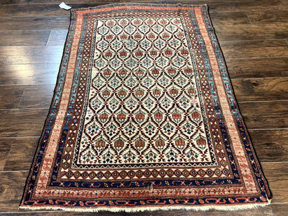 Antique Caucasian Rug 4x6, Hand Knotted Wool Carpet, Shirvan Rug - Nuvé
