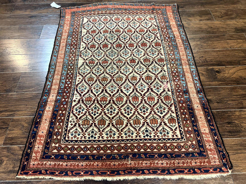 Antique Caucasian Rug 4x6, Hand Knotted Wool Carpet, Shirvan Rug - Nuvé