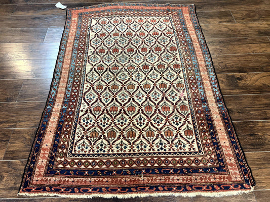 Antique Caucasian Rug 4x6, Hand Knotted Wool Carpet, Shirvan Rug - Nuvé