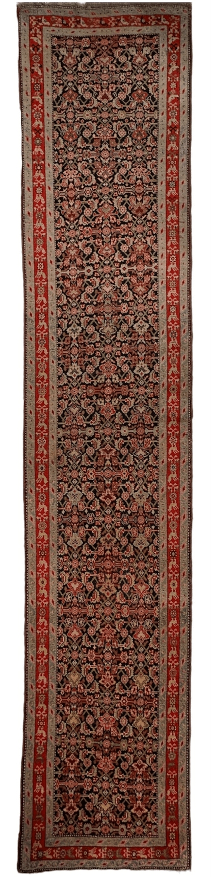 3’4” x 17’ Karabkah Antique Caucasian Wool on Wool Runner - Nuvé