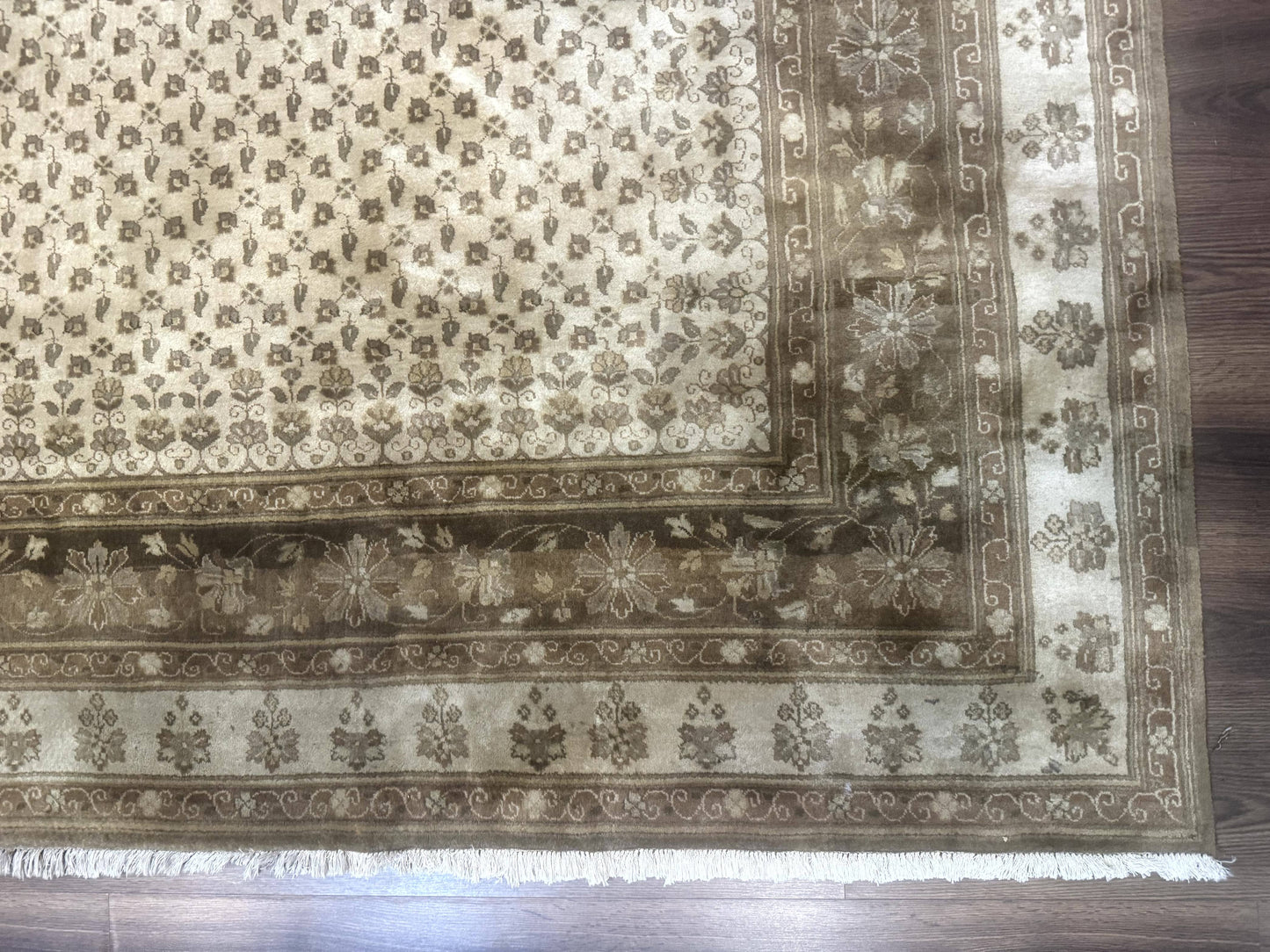 Indo Persian Rug, Allover Pattern, Beige, Wool Handmade Carpet - Nuvé