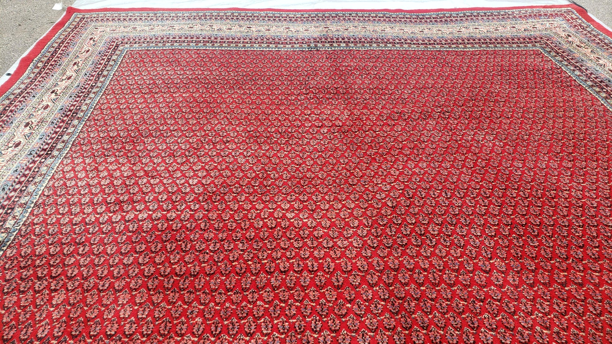 Persian Sarouk Mir Pattern, Red and Beige, Hand-Knotted, Wool, Paisley Boteh Design, 9'9" x 13', Semi Antique - Nuvé