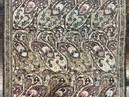 Antique Persian Malayer Runner Rug 3x16, Repeated Boteh Paisley Design, Rare Rug, 1920s Antique Oriental Carpet, Wool Handmade Hand Knotted 3 x 16 ft Rug - Nuvé