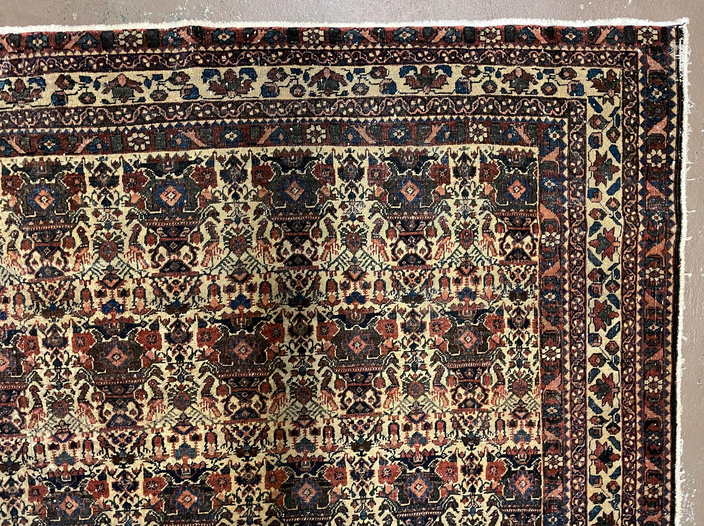 Antique Persian Afshar Rug 5x7, Wool Hand Knotted Oriental Carpet 5 x 7 ft, Repeated Motif Allover, Cream and Maroon, Tribal Rug, Medium Sized Rug,  Zil-i-Sultan Design - Nuvé