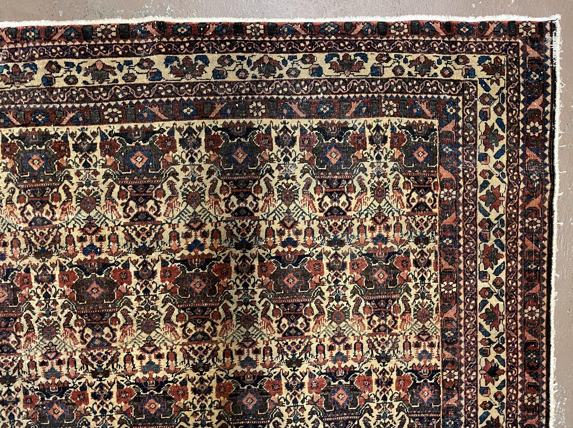 Antique Persian Afshar Rug 5x7, Wool Hand Knotted Oriental Carpet 5 x 7 ft, Repeated Motif Allover, Cream and Maroon, Tribal Rug, Medium Sized Rug,  Zil-i-Sultan Design - Nuvé