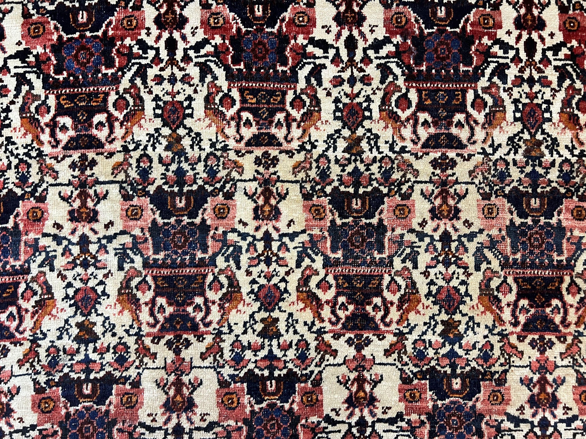 Persian Afshar Rug 6x8, Wool Hand Knotted Semi Antique Vintage Carpet, Floral Allover, Repeated Birds Flowers Vases Motifs - Nuvé