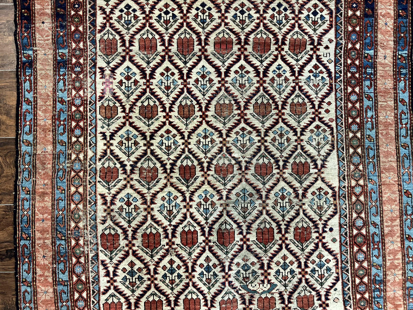 Antique Caucasian Rug 4x6, Hand Knotted Wool Carpet, Shirvan Rug - Nuvé