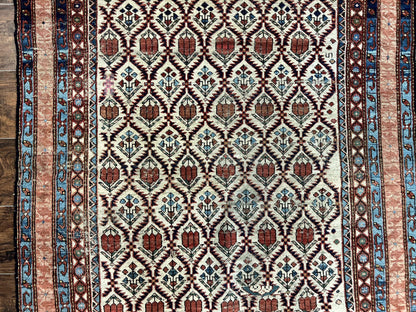 Antique Caucasian Rug 4x6, Hand Knotted Wool Carpet, Shirvan Rug - Nuvé