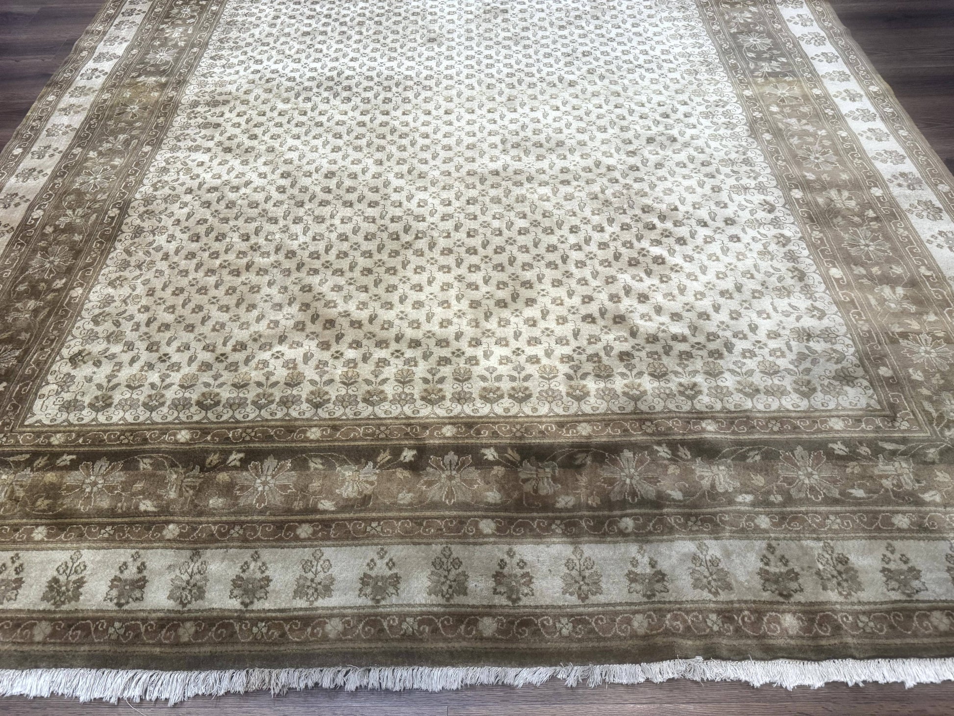 Indo Persian Rug, Allover Pattern, Beige, Wool Handmade Carpet - Nuvé