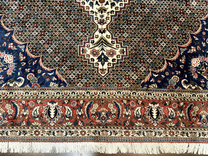 Persian Rug 7x10, Bakhtiari Saman Rug, Unique Design and Colors, Ivory Red Blue, Large Tribal Rug - Nuvé