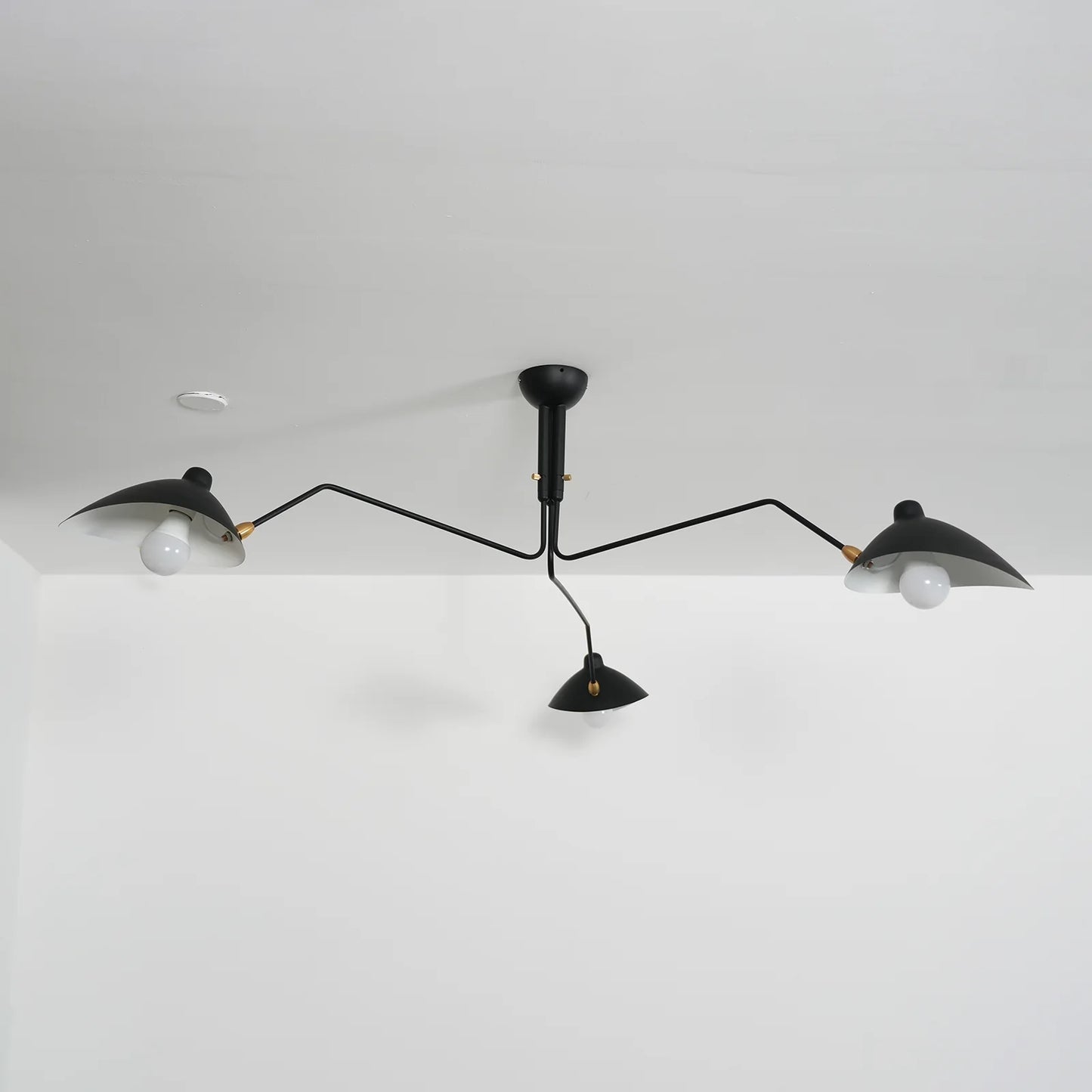 Serge Rotating Arm Ceiling light