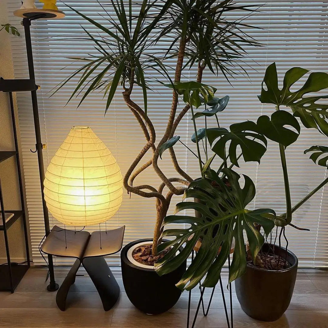 Akari 22N Table Lamp - Nuvé