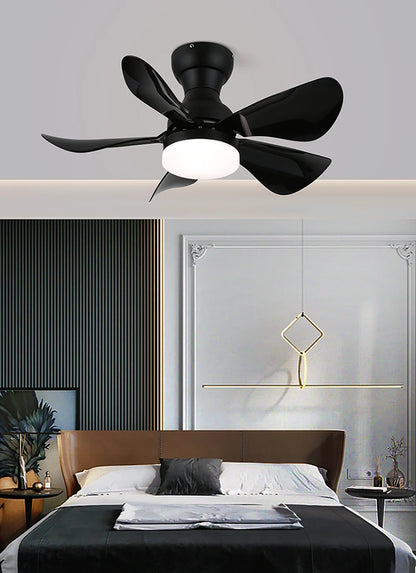 Arilia Small Blade Ceiling Fan Light - Nuvé