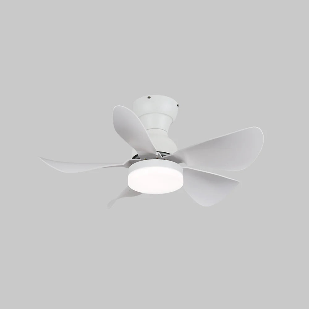 Arilia Small Blade Ceiling Fan Light - Nuvé