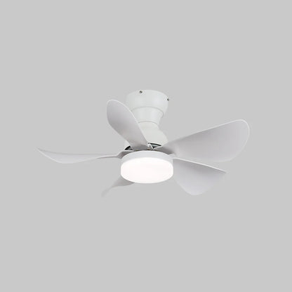 Arilia Small Blade Ceiling Fan Light - Nuvé