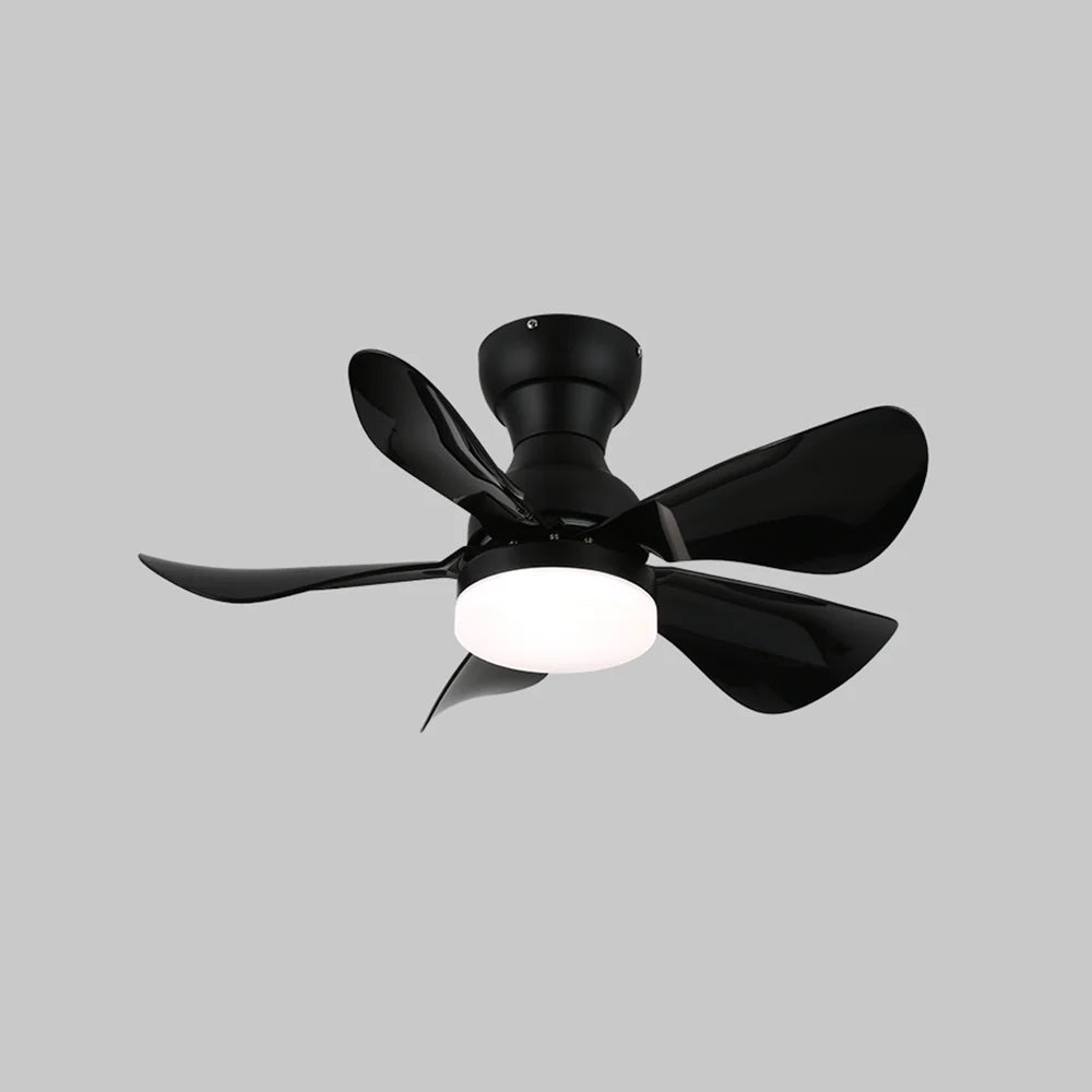 Arilia Small Blade Ceiling Fan Light - Nuvé