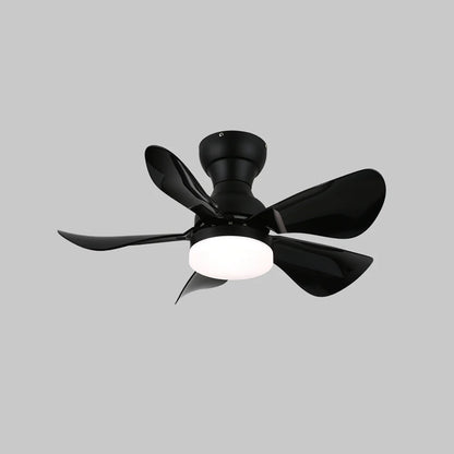 Arilia Small Blade Ceiling Fan Light - Nuvé