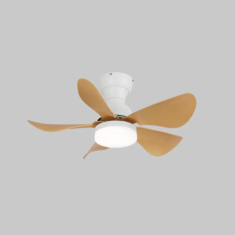 Arilia Small Blade Ceiling Fan Light - Nuvé