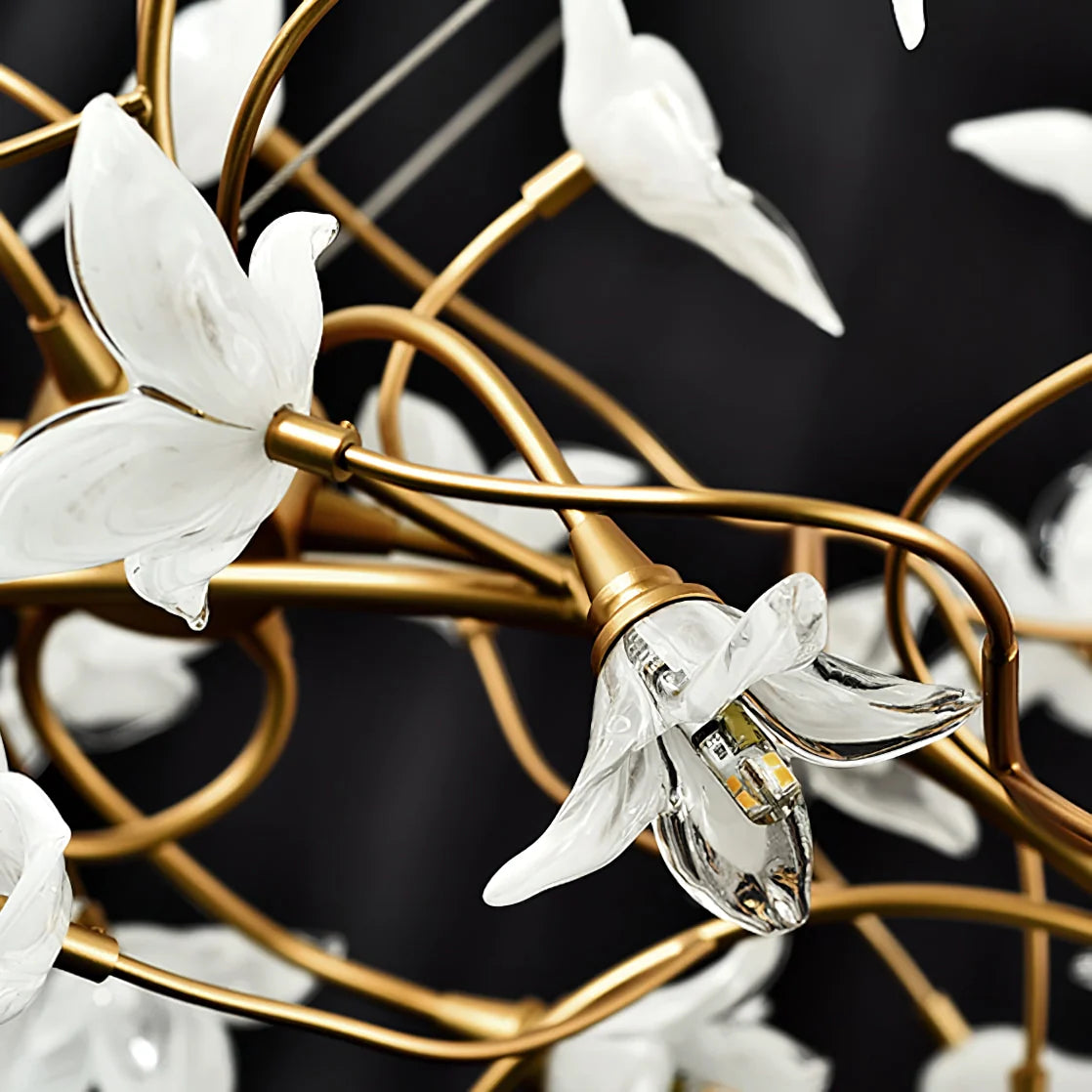 Begonia Chandelier - Nuvé