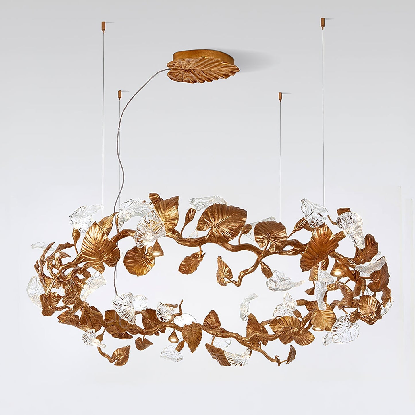 Calathea Chandelier - Nuvé