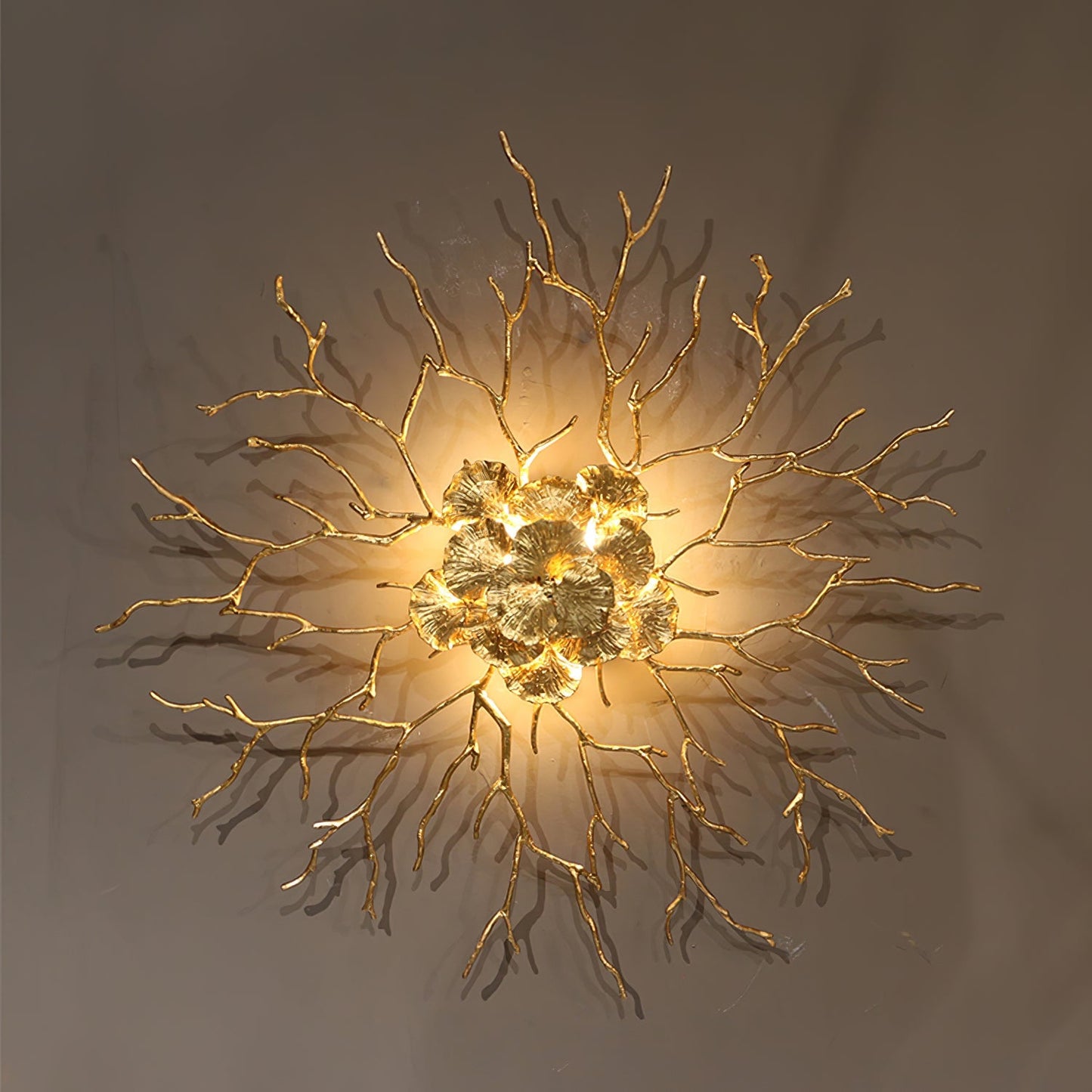 Coral Zoa Eye Wall Lamp - Nuvé