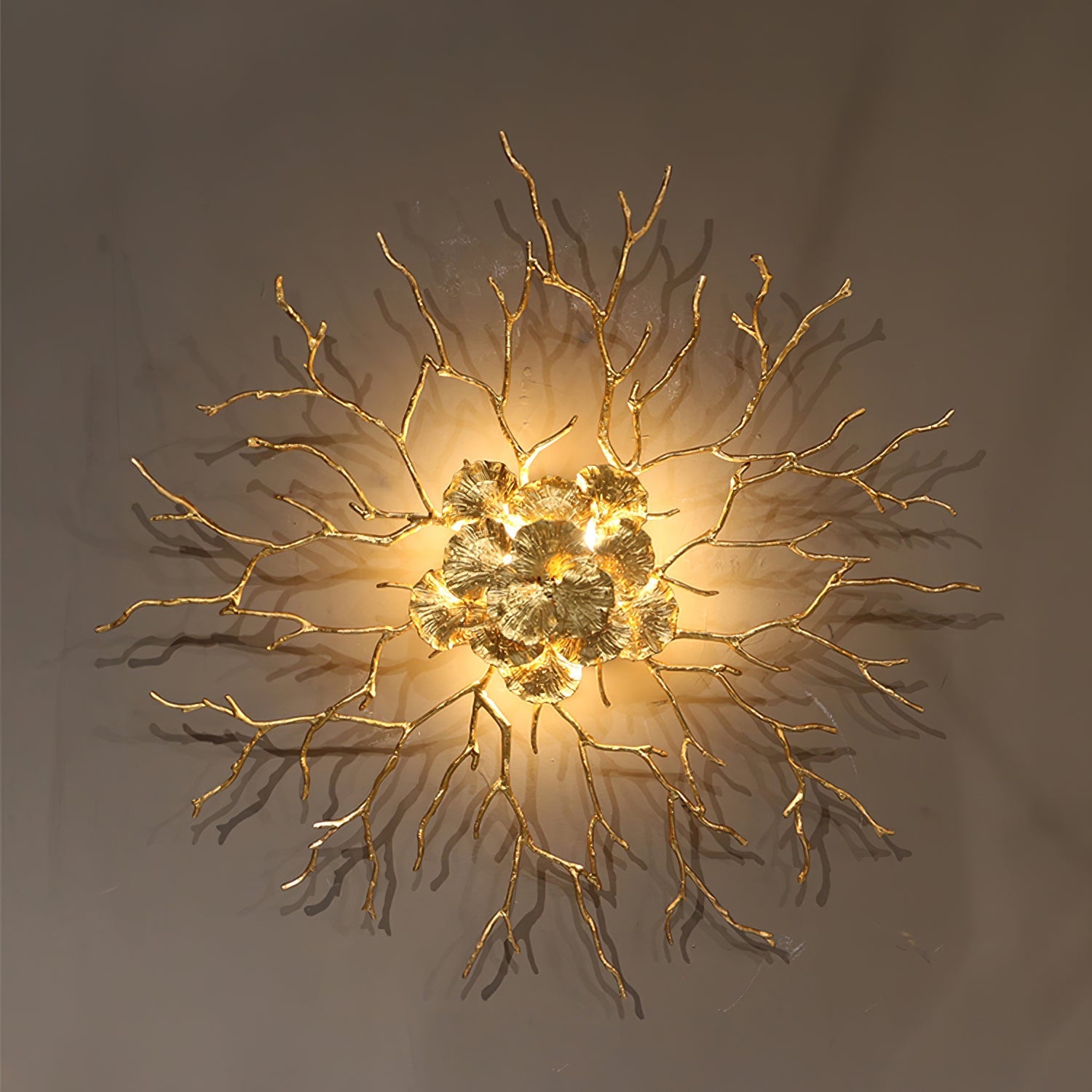 Coral Zoa Eye Wall Lamp - Nuvé