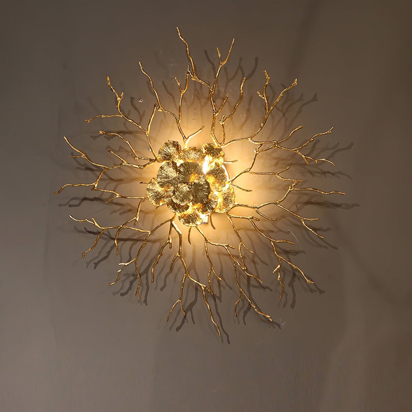Coral Zoa Eye Wall Lamp - Nuvé